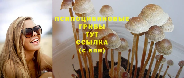 гидропоника Каменск-Шахтинский