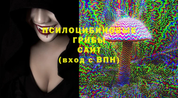 мескалин Каменка
