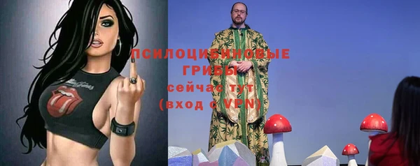 бошки Каменногорск
