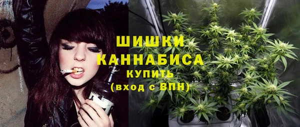 бошки Каменногорск