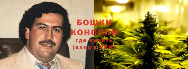 бошки Каменногорск