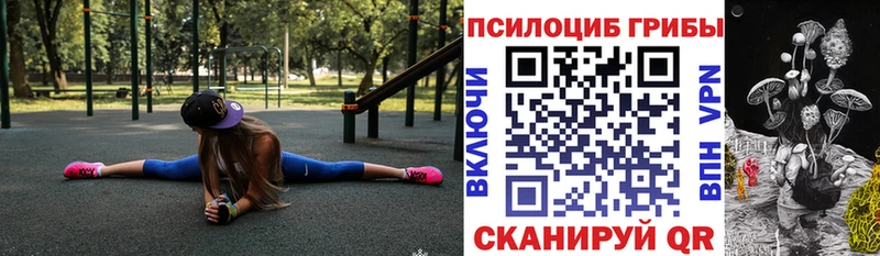 Купить где  Донской  Псилоцибиновые грибы прущие грибы 